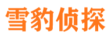 绥中捉小三公司